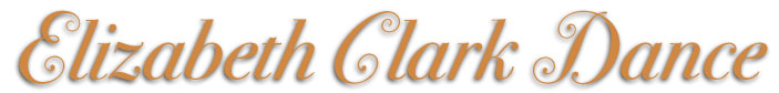 Wisbey Design Graphic Design and Illustration